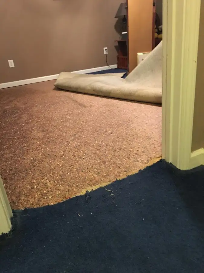 Carpet pad removal revealing water damage during Water Mitigation Services in Manvel